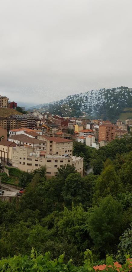 Hotel Alina Cangas De Narcea Eksteriør billede